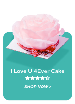 I Love U 4Ever Cake Sk ko SHOP Now 