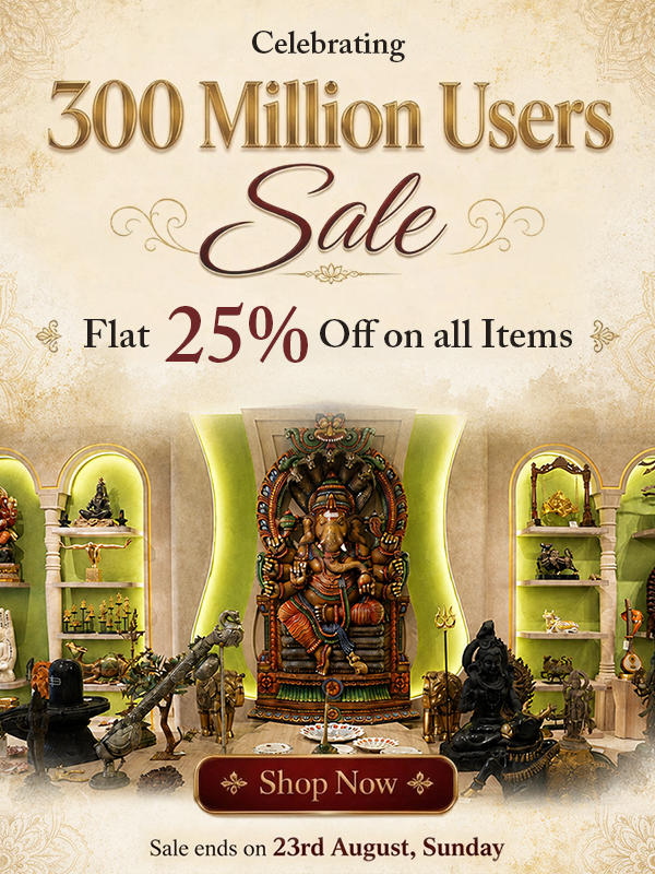 Celebrating 300M Users