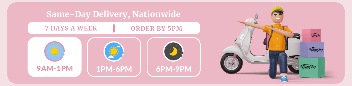 Same-Day Delivery, Nationwide