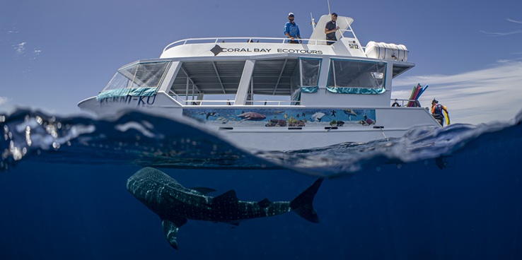 Scenic Drive Experience 