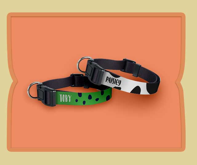 Pet Collar (2 Pieces)