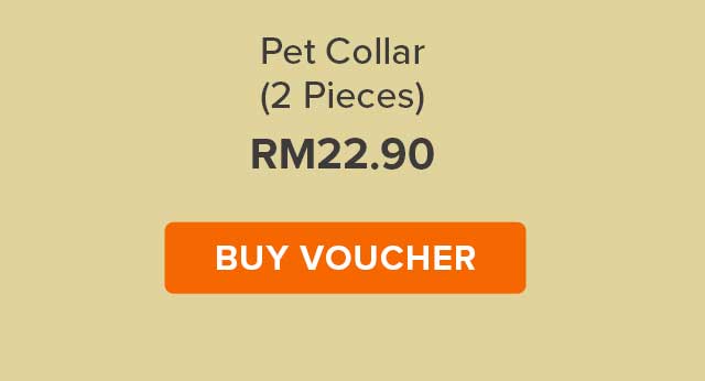 Pet Collar (2 Pieces)