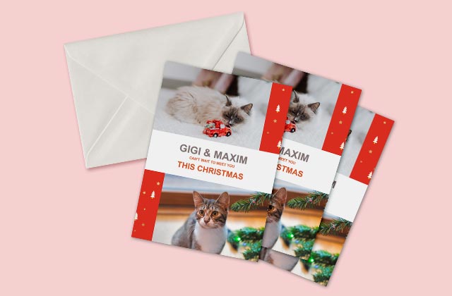 5 x 7 Portrait or Landscape Flat Greeting Cards