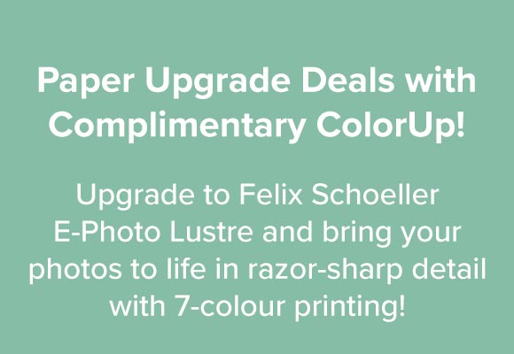 Paper Upgrade Deals 