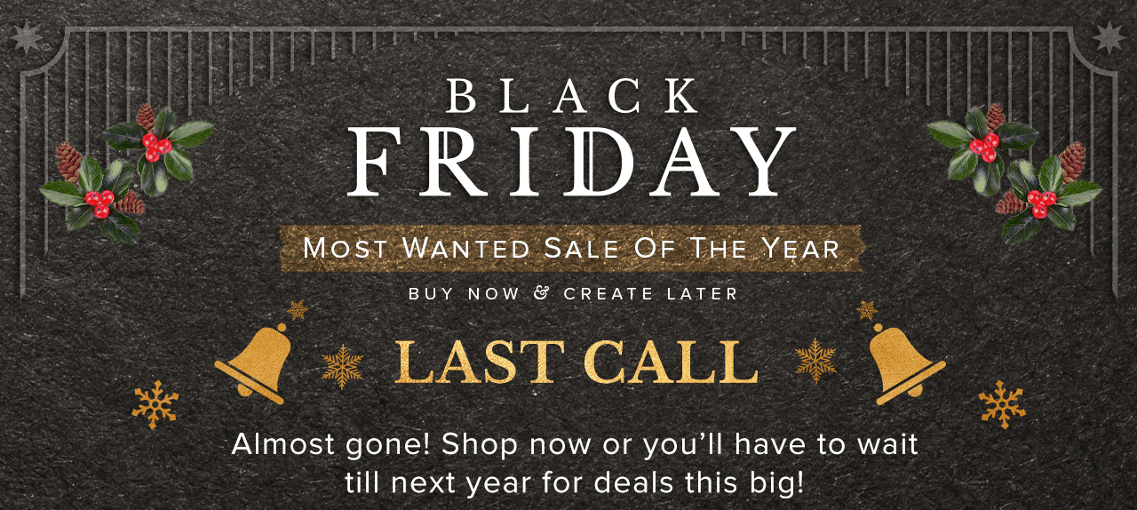 Black Friday Sale