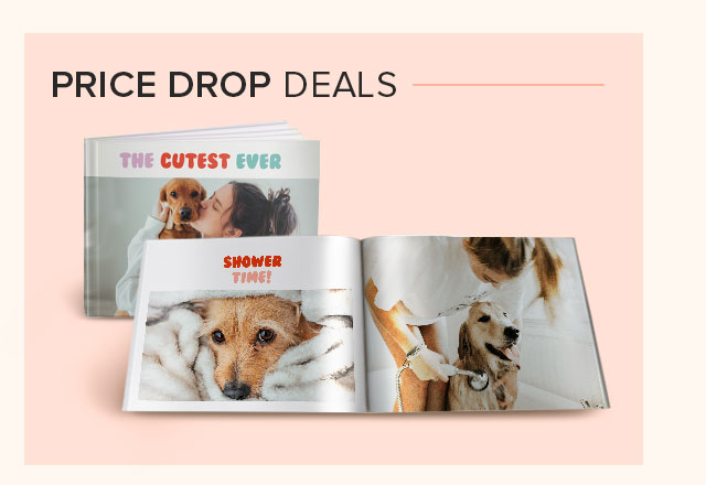 PRICE DROP DEALS