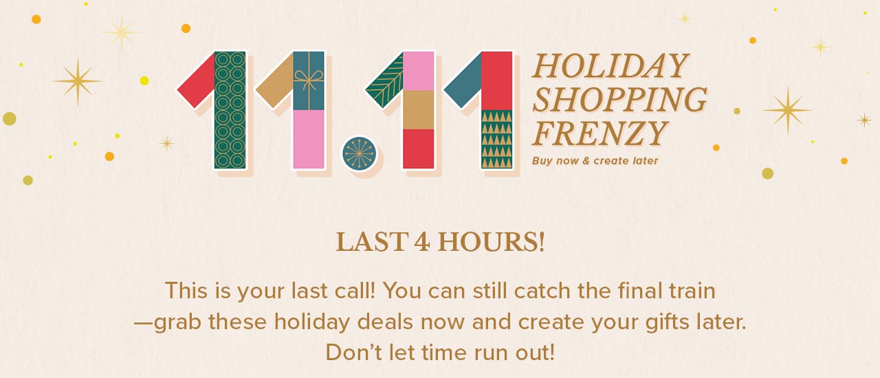11.11 Holiday Shopping Frenzy