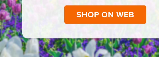 SHOP ON WEB