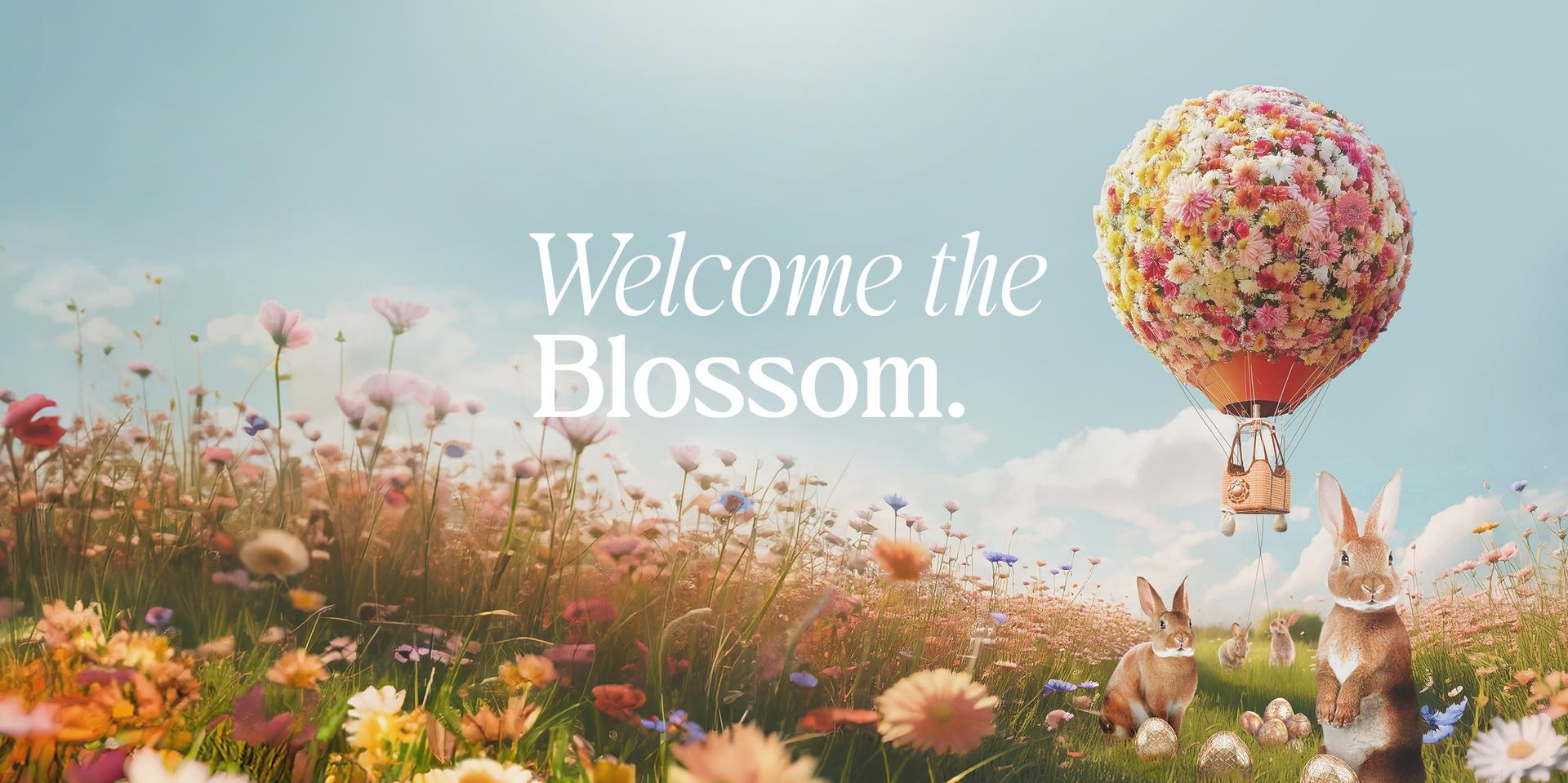Welcome The Blossom